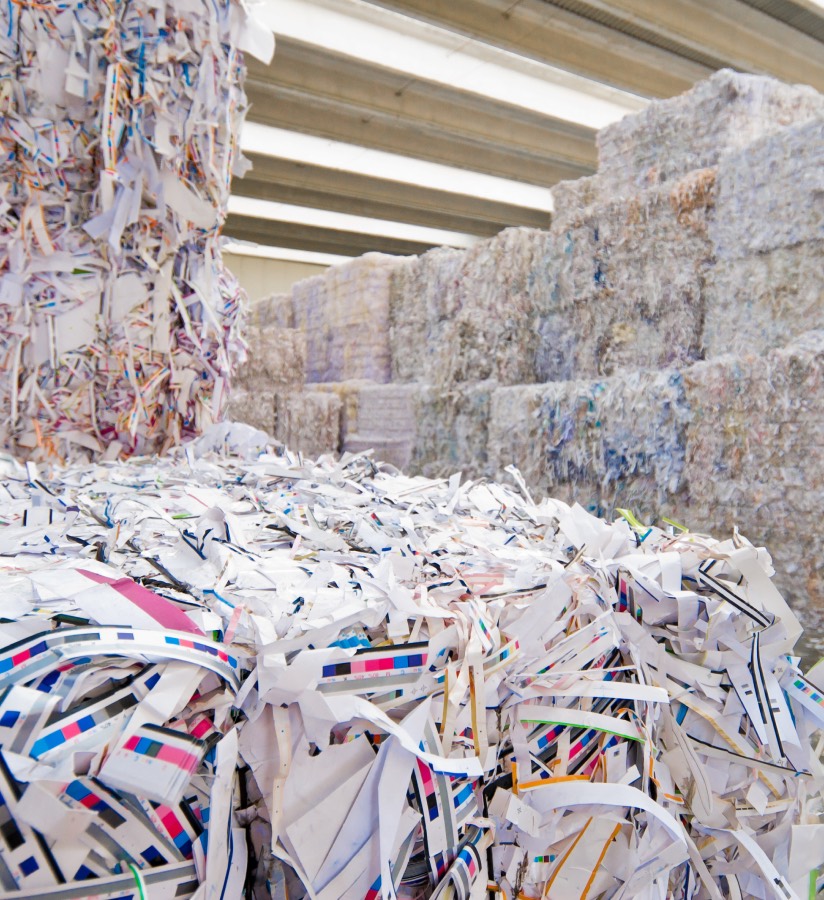 Papel